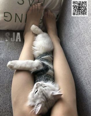 三级国产大片_HD高清完整电影